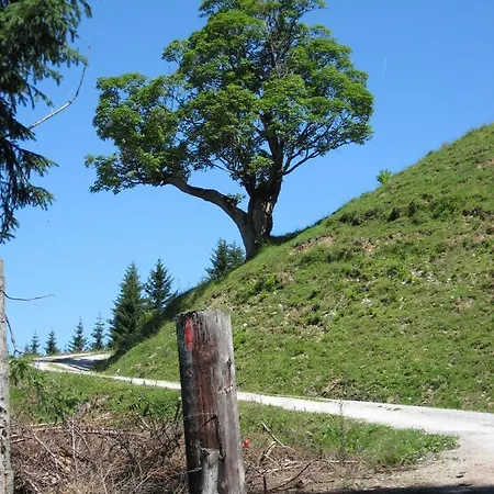 Silber Im Wiesenstein * 아우파흐