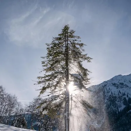 Daire Silber Im Wiesenstein *