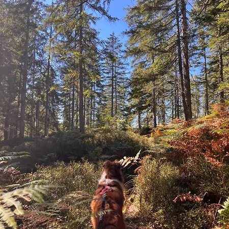 Silber Im Wiesenstein 아파트