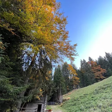 Silber Im Wiesenstein * 아우파흐