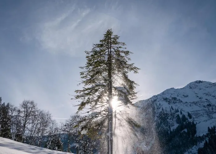 Apartment Silber Im Wiesenstein *