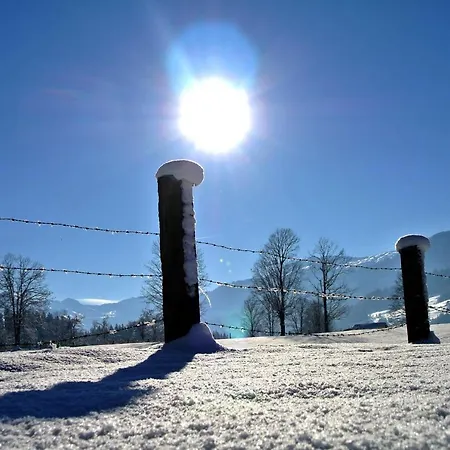 Silber Im Wiesenstein