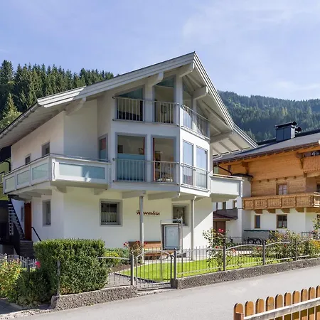 Silber Im Wiesenstein * Auffach
