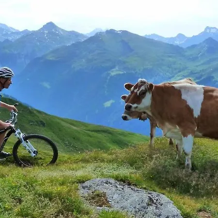 Silber Im Wiesenstein Апартаменты *