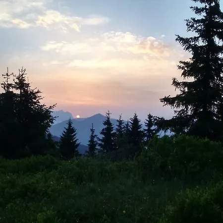 Silber Im Wiesenstein Апартаменты *